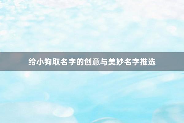 给小狗取名字的创意与美妙名字推选