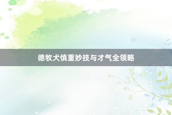 德牧犬慎重妙技与才气全领略